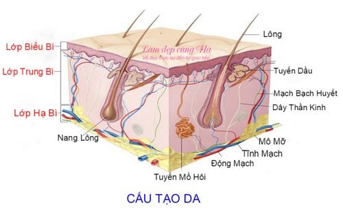 Hiểu đúng về NÁM từ A đến Z
